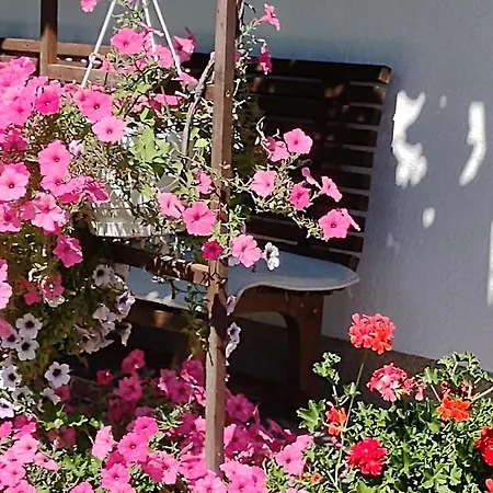 Familie Fiechtl アパート フューゲンベルク