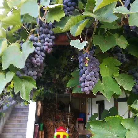 Familie Fiechtl Appartamento *