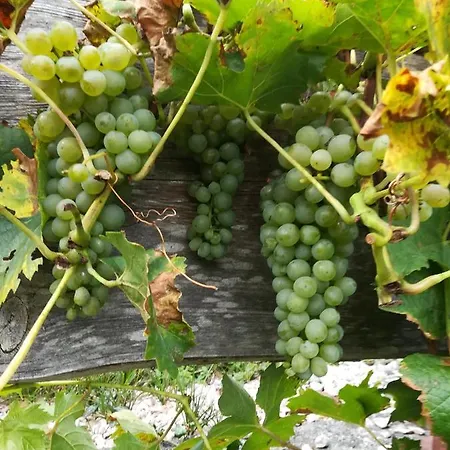 Appartamento Familie Fiechtl